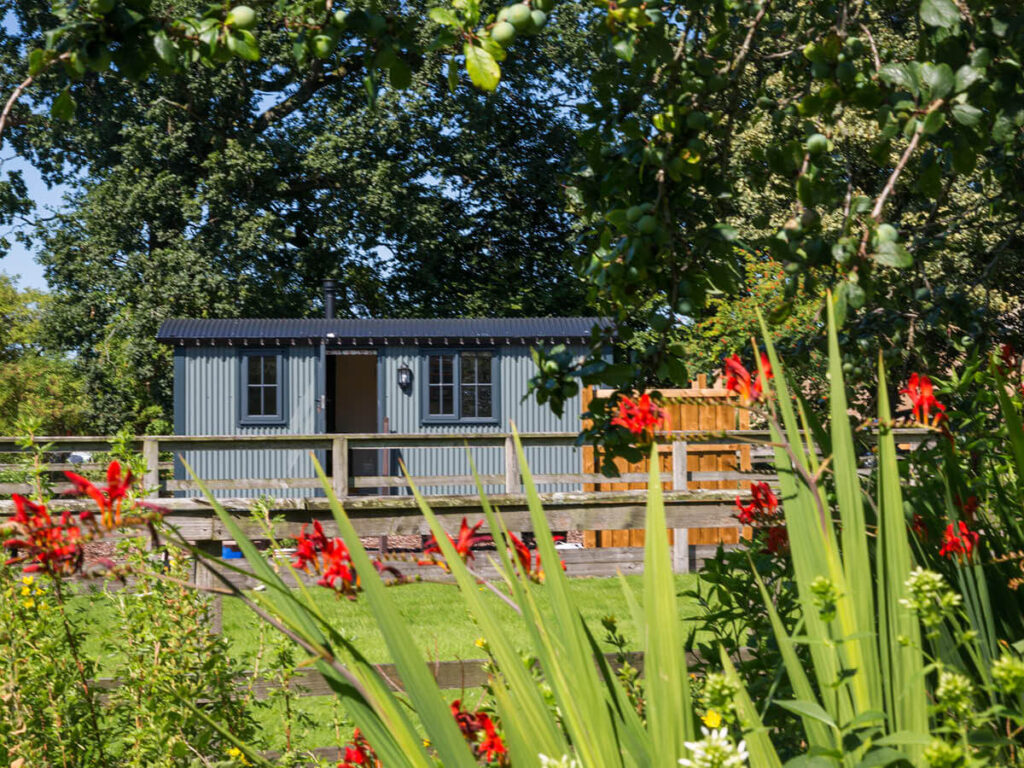 a shot of a shepherd hut, taken from distance looking through a wooden fence with lovely flowers red blooming in the foreground