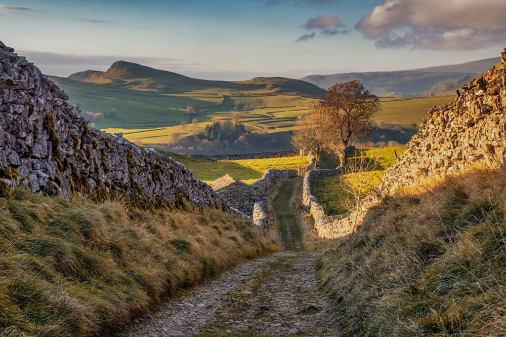 a lane lined with dry stone walls stretches into the distance of the Yorkshire Dales