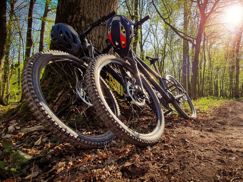 two mountain bikes resting on a tree beside a woodland trail