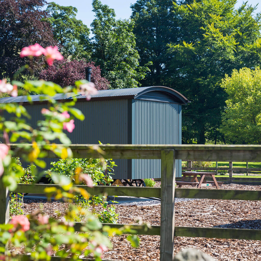 a single luxury shepherd hut inside a fenced paddock area with mature trees in the background