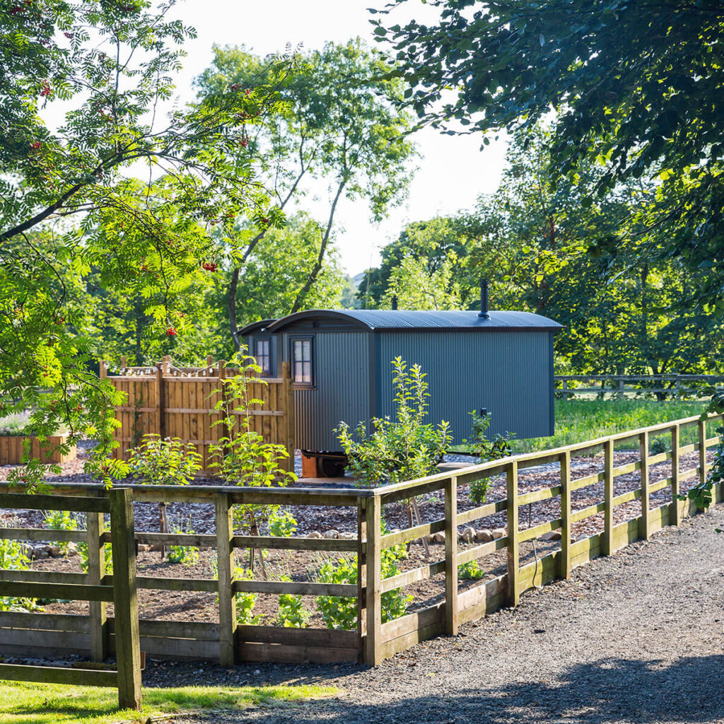 luxury shepherd huts inside a fenced paddock area lined with trees