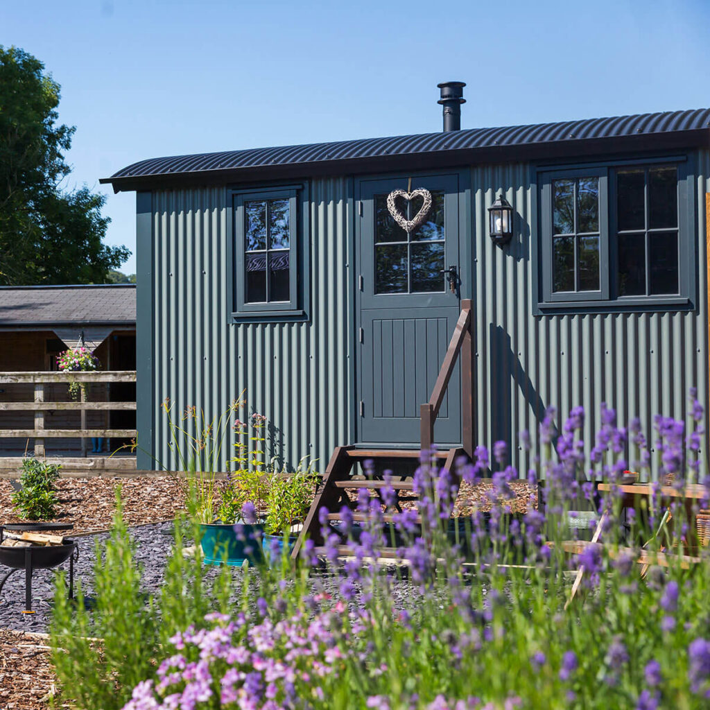 a front view of a shepherd hut at Settledown Retreats, purple wild flowers in the foreground and stable behind