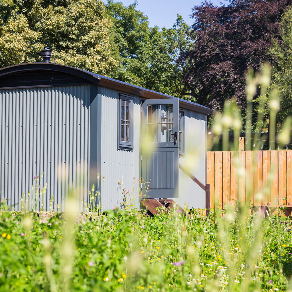 a shepherd hut set within a wild flower filled paddock with trees in the background